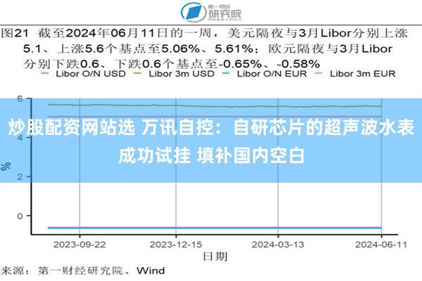 炒股配资网站选 万讯自控：自研芯片的超声波水表成功试挂 填补国内空白