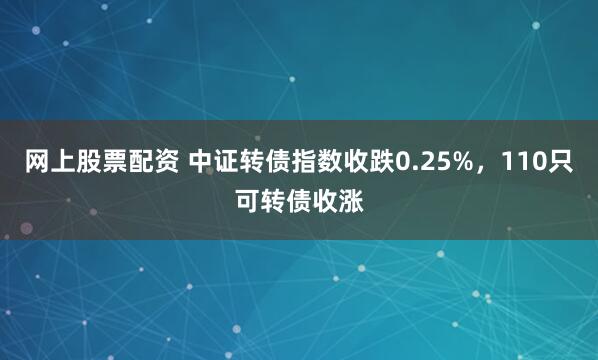 网上股票配资 中证转债指数收跌0.25%，110只可转债收涨