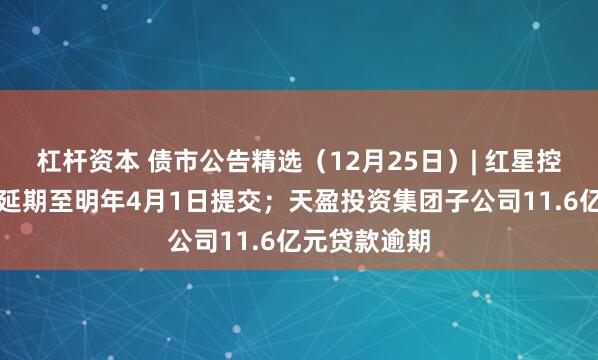 杠杆资本 债市公告精选（12月25日）| 红星控股重整草案延期至明年4月1日提交；天盈投资集团子公司11.6亿元贷款逾期