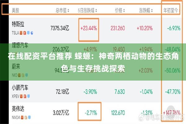 在线配资平台推荐 蝾螈：神奇两栖动物的生态角色与生存挑战探索