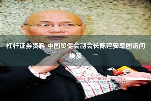 杠杆证券资料 中国贸促会副会长陈建安率团访问埃及